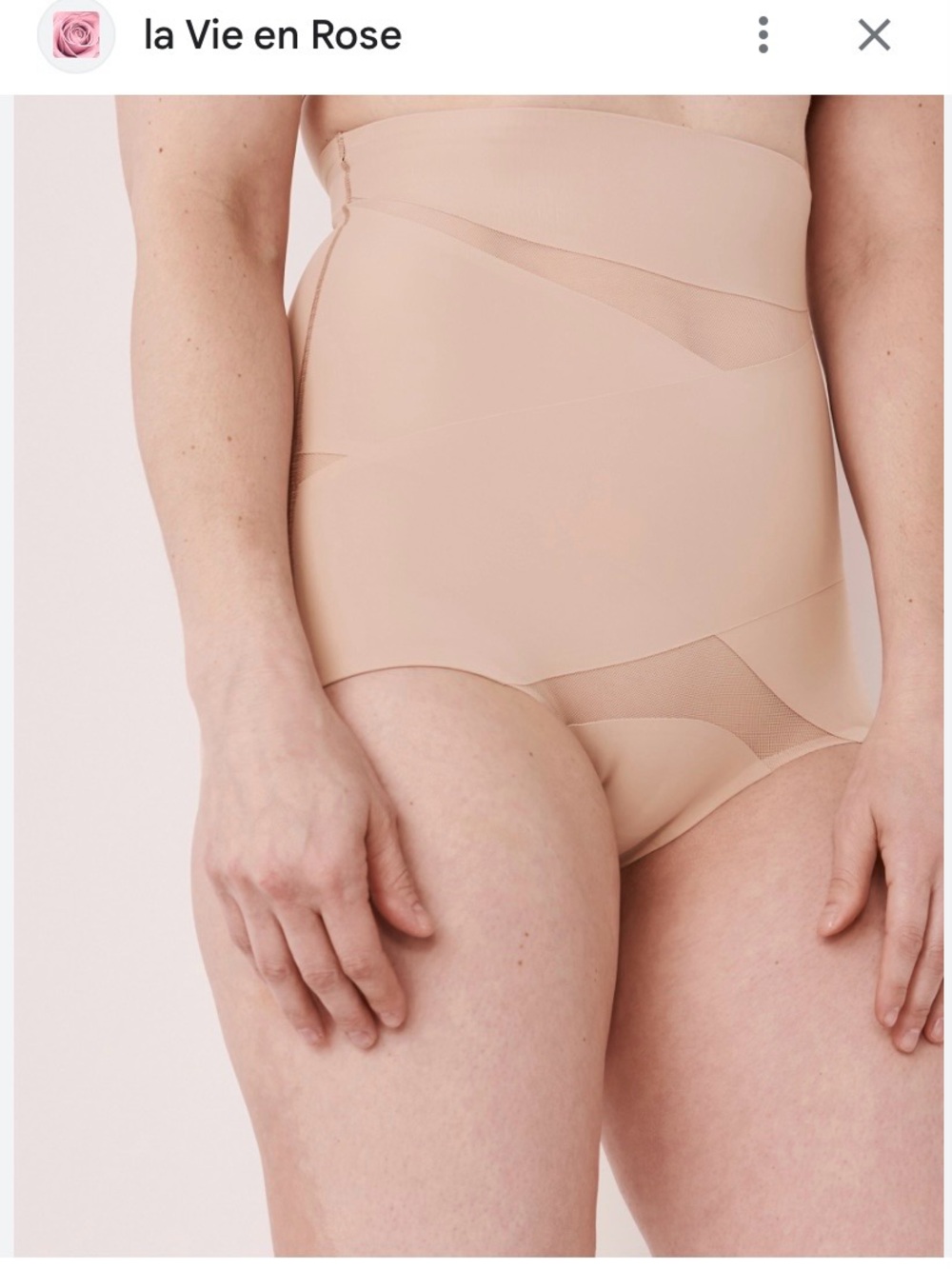 La Vie En Rose High-Waist Shaping Brief in Light Nude size large
